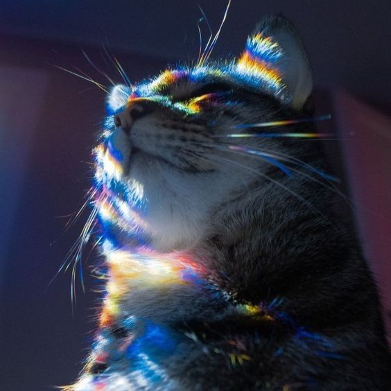 mídia kit ✨ thumbnail