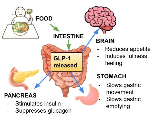 Natural Ozempic | Extend Your Years | Turn ON Your Metabolism |  thumbnail