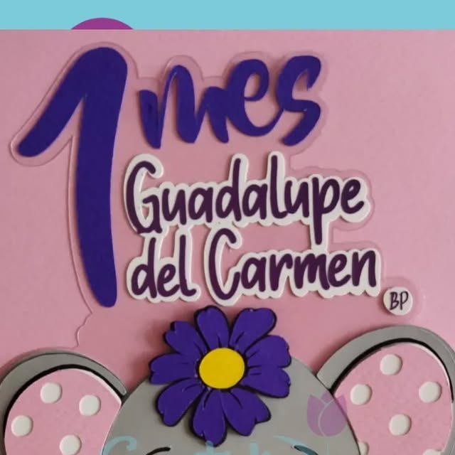 PapeleriaCreativaPersonalizada on Instagram: "💜Feliz 1er Mes💜
Guadalupe del Carmen
#happymilestone
#primermes 
#milestonebaby 
#primermesdevida" thumbnail
