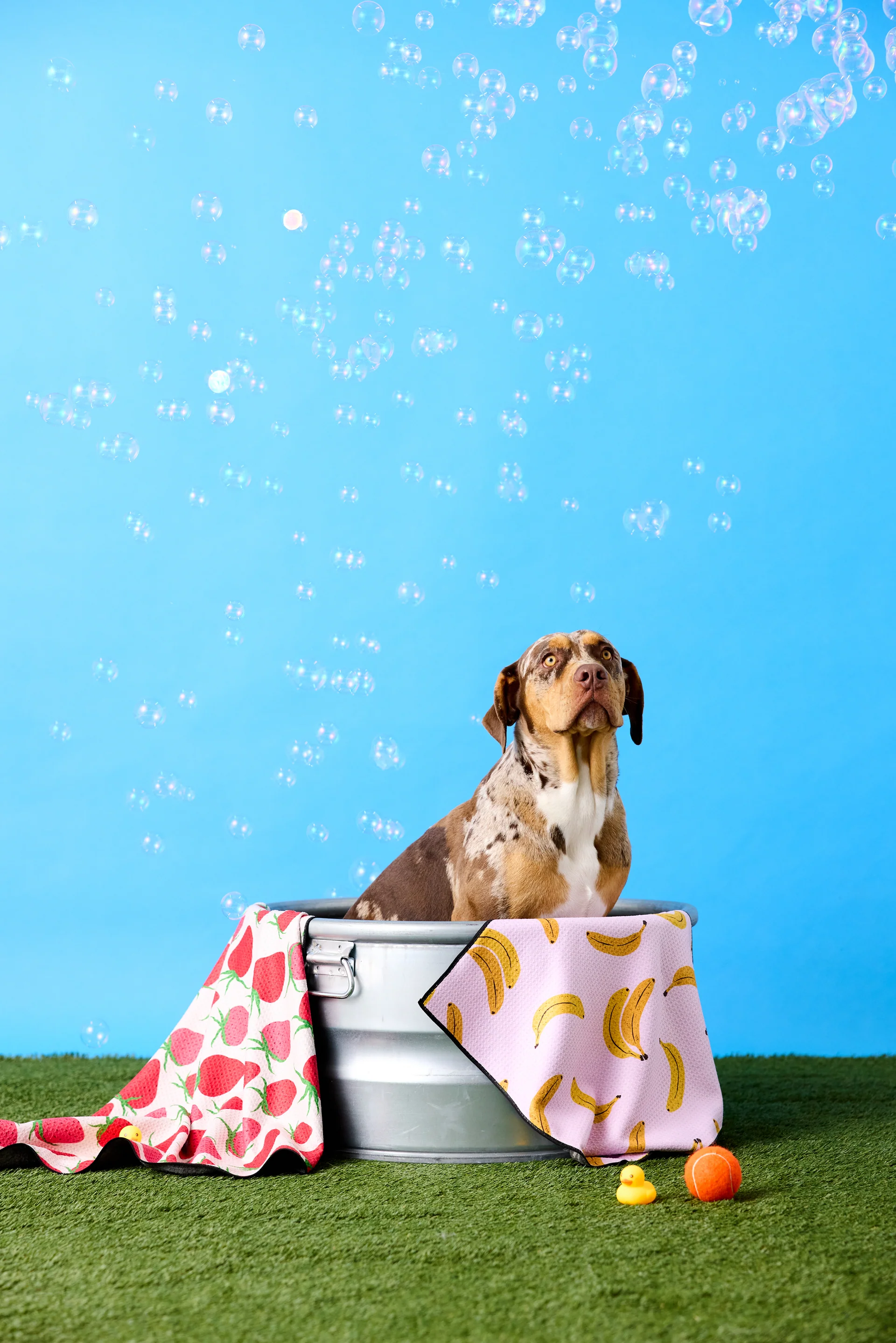 My Favorite Kitchen Towels - use KELLI15 thumbnail