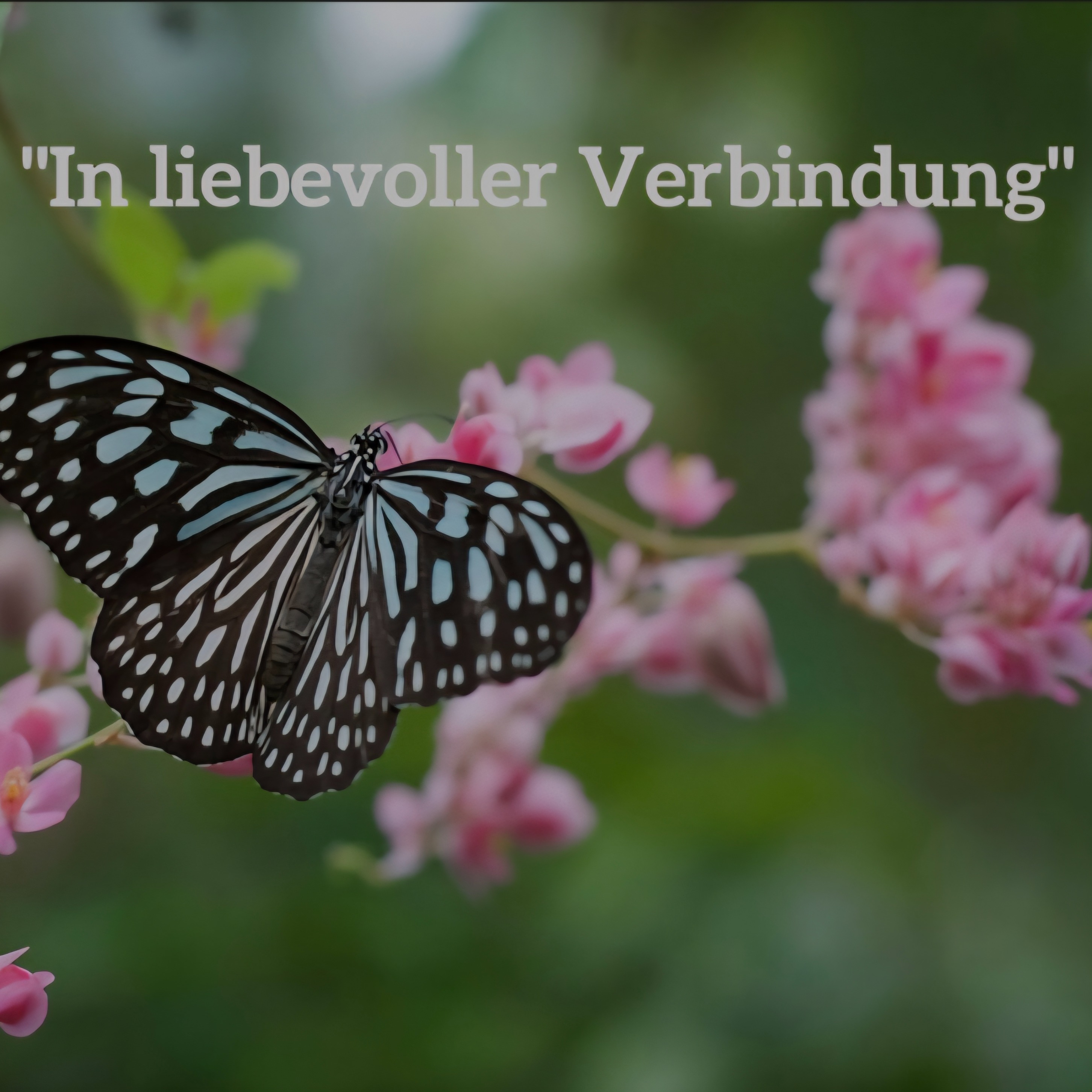 "Selbstliebe in 14 Tagen stärken"- Mini Kurs mit 5 Modulen thumbnail