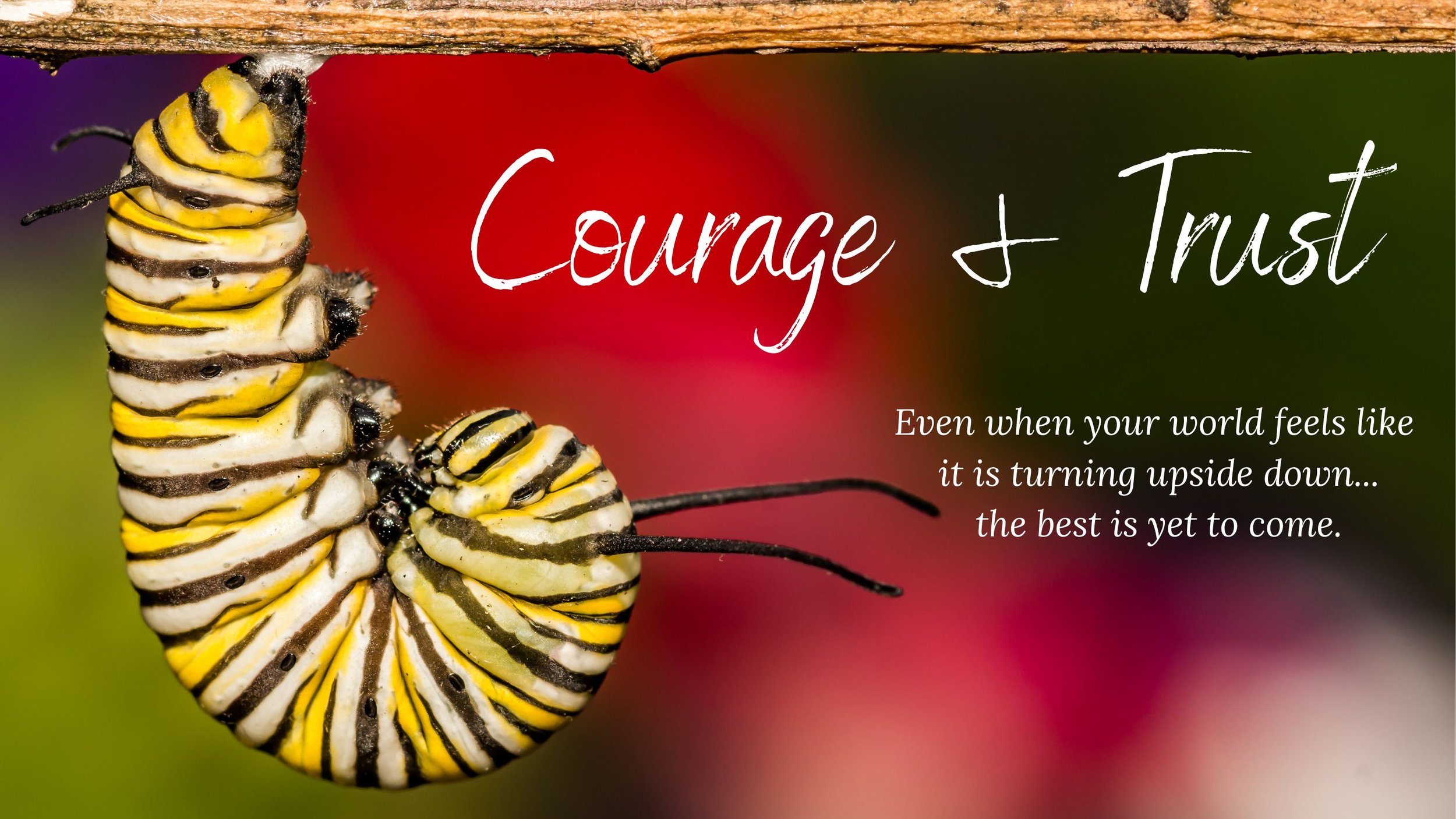 The Courage to Enter the Chrysalis: Navigating Life Transitions and Personal Transformation — The Butterfly Within thumbnail