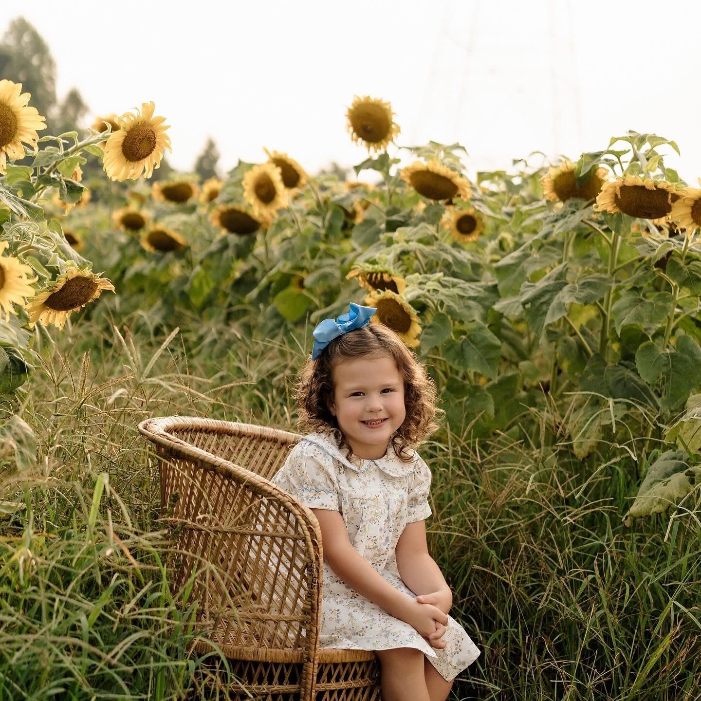 🌻 SUNFLOWER MINIS 2025  thumbnail