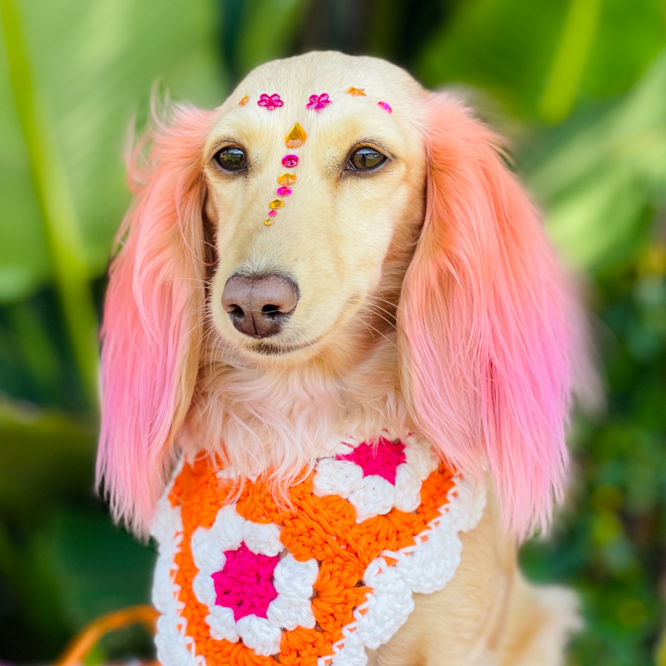 Pet-safe hair chalk! thumbnail