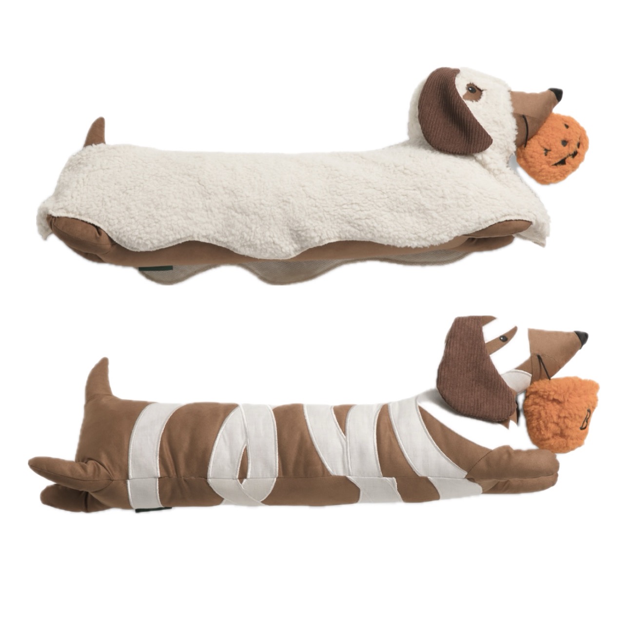Halloween Dachshund Finds! 👻🎃🐶 thumbnail