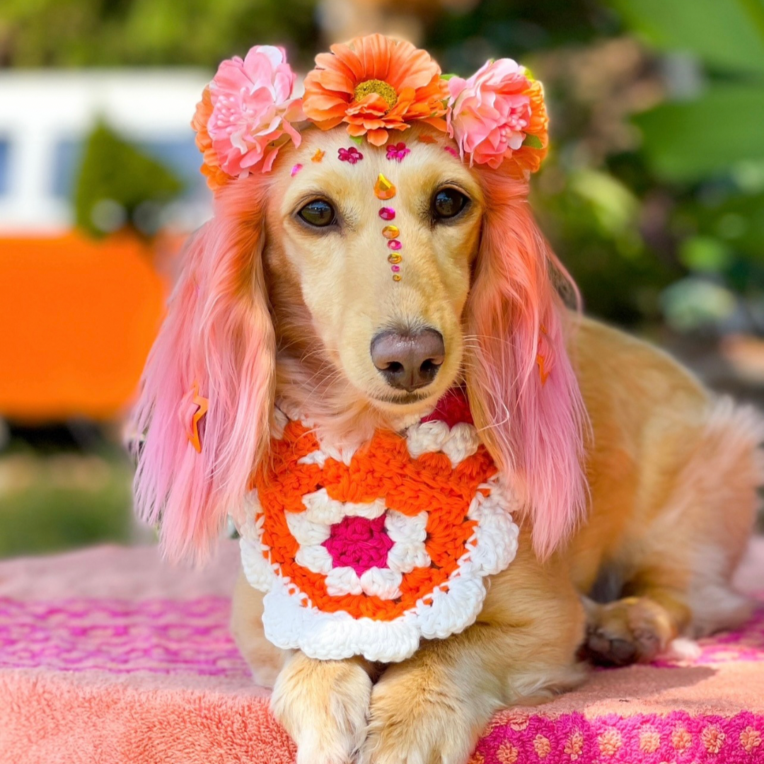 Coachella outfit & hair chalk! thumbnail