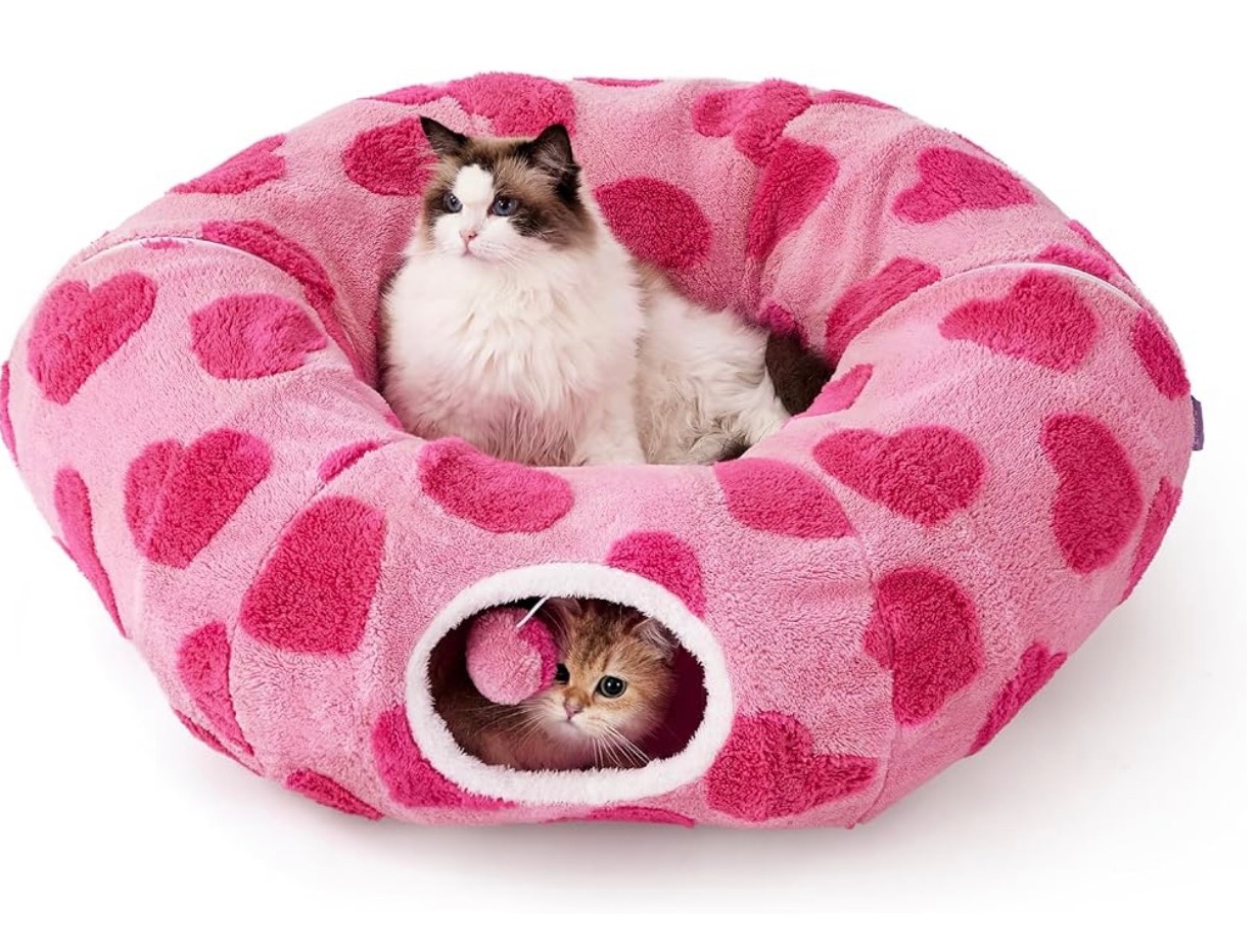 Cat/dog tunnels!  thumbnail