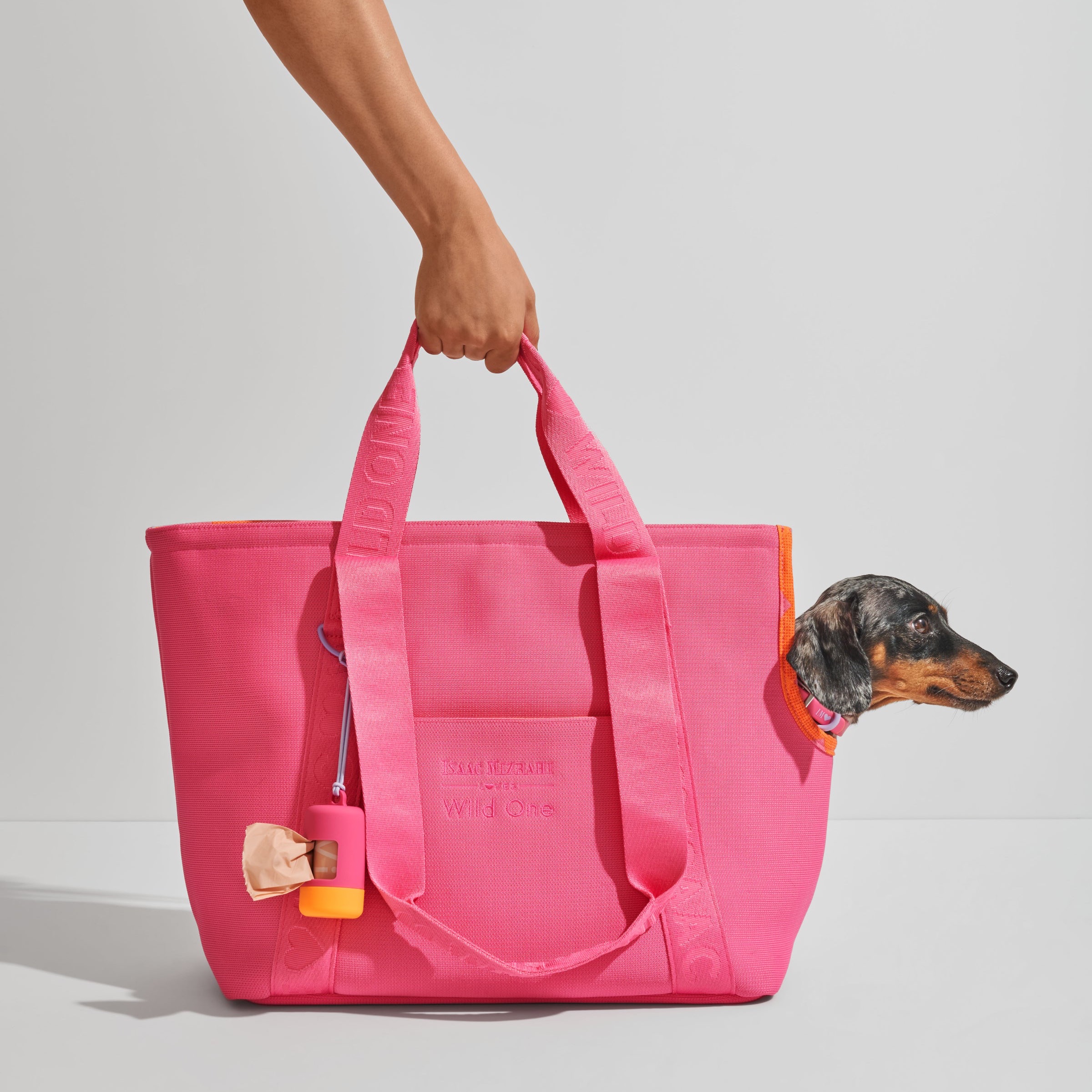 Dog carrier bag! 💖 40% off currently!  thumbnail