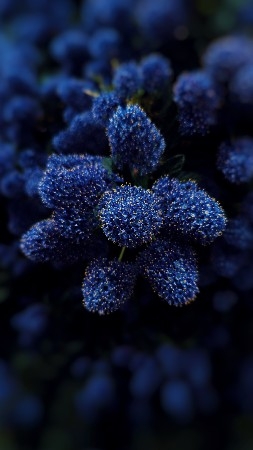 WALLPAPERS  (shotononeplus) thumbnail