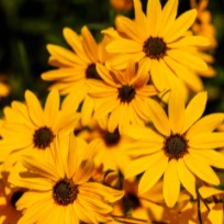 Visit My Website thumbnail