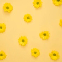 Shop My Fav Brands -Skincare, Mindfulness, and Art thumbnail