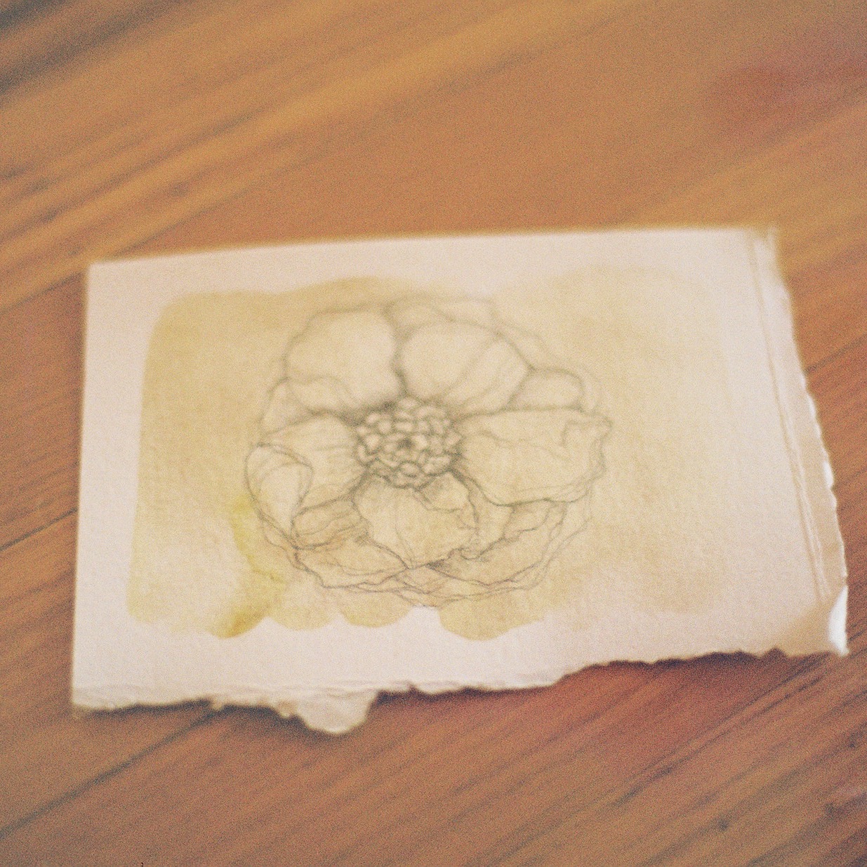 NEWSLETTER thumbnail