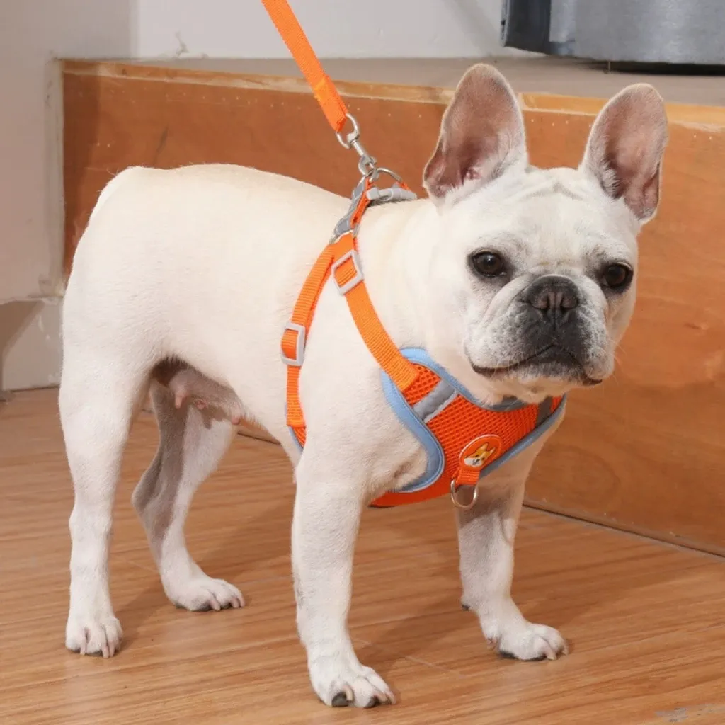  Conjunto de guia + coleira tipo colete para pet pequenos e médios thumbnail