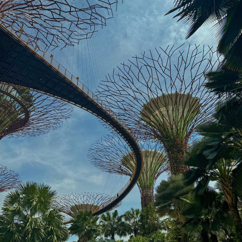 Top 5 Free Places to Visit in Singapore for a Budget-Friendly Trip thumbnail