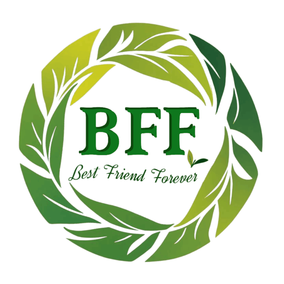 The Best Friend Forever Company Limited | Discover Support — Join Today thumbnail