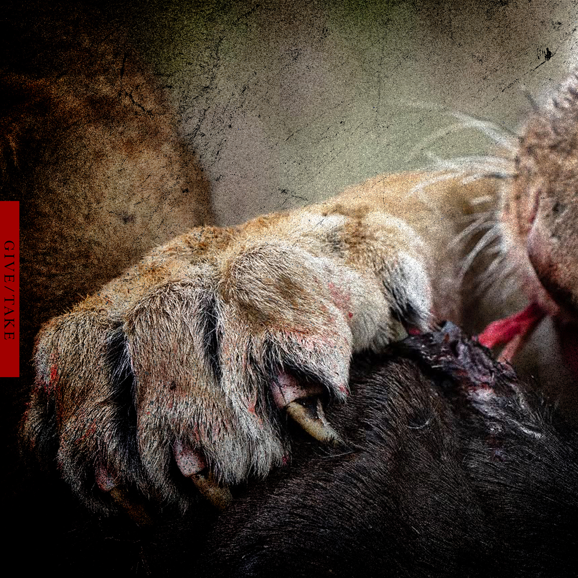 KPT - Claw thumbnail