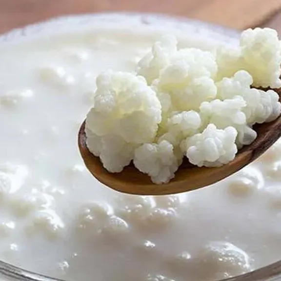 Búlgaros Kefir thumbnail