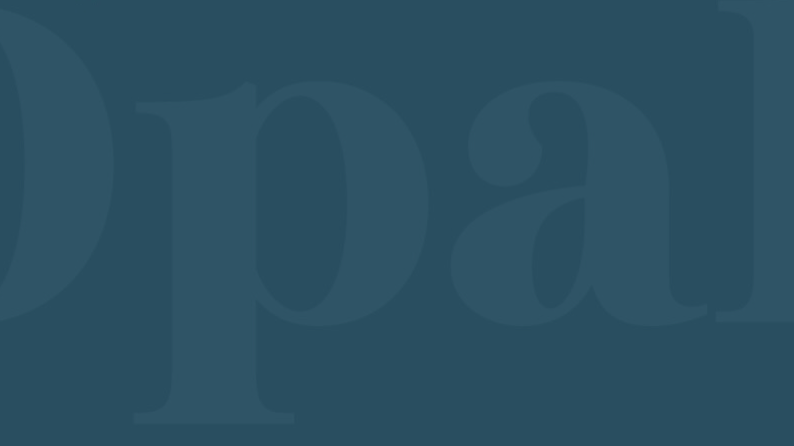 BioSite banner for @opal