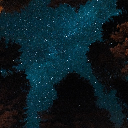 Fire & Stars: The Art of Storytelling thumbnail
