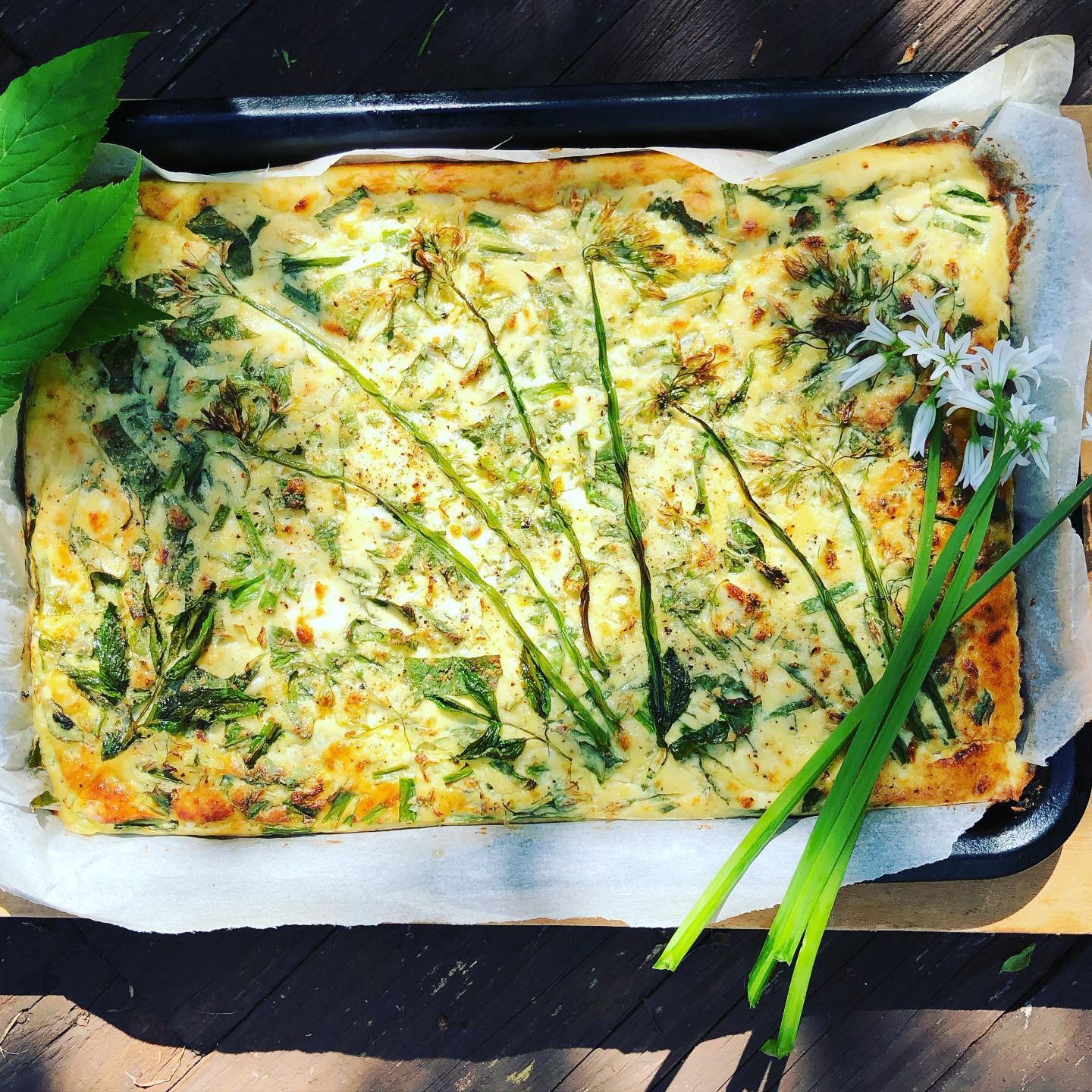 Wild Food Recipes thumbnail