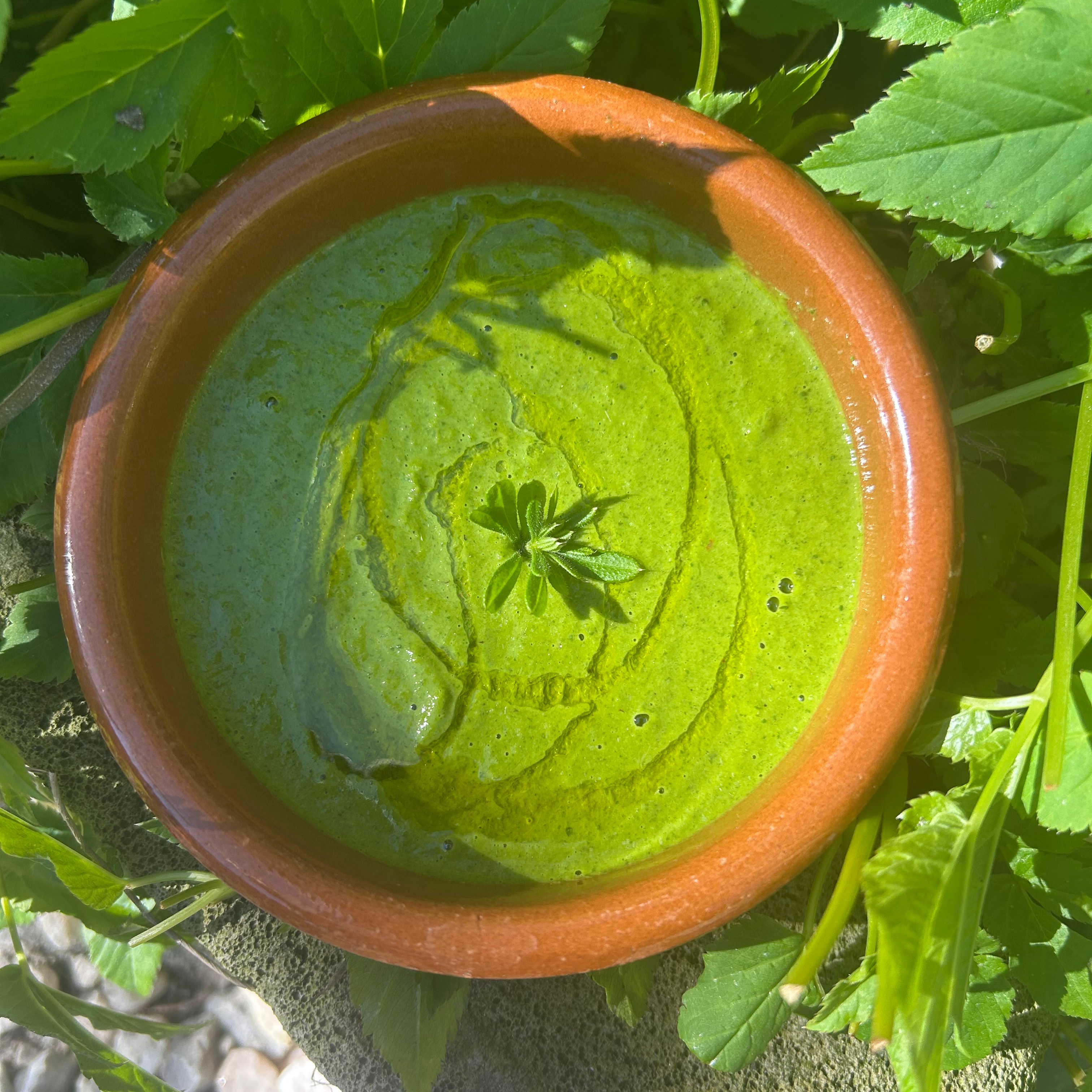 Substack - Words from a Life of Hedge & Hearth  thumbnail