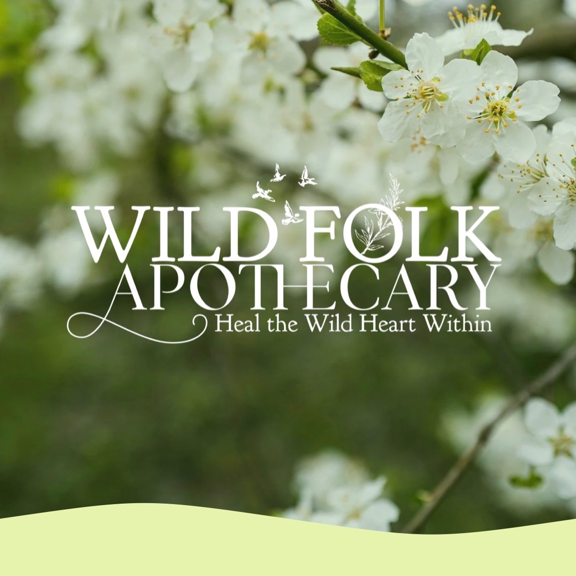 Online Courses thumbnail