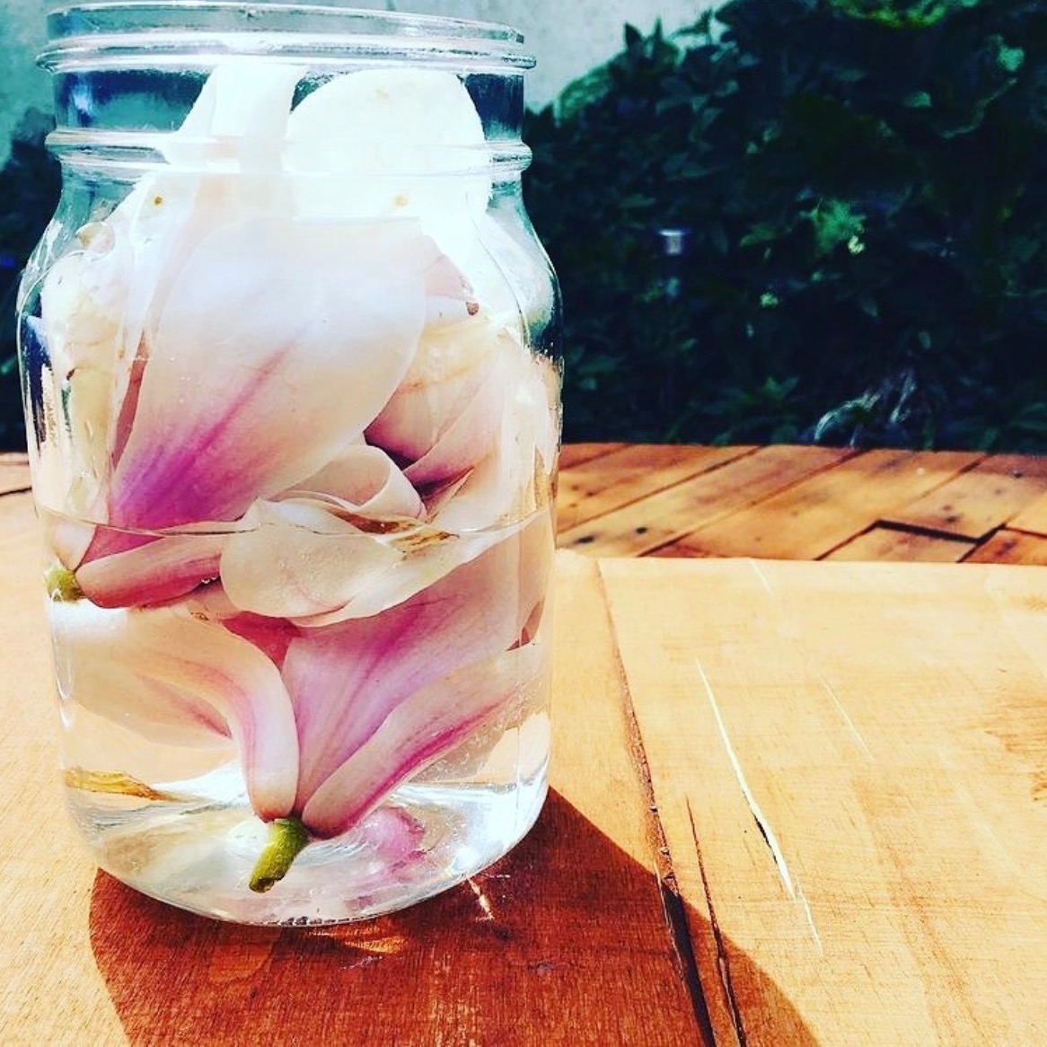 Join The Wild Folk Apothecary Mailing List thumbnail