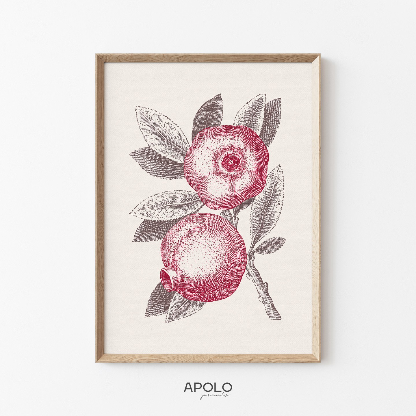 Pomegranate no. 3
.
.
.
#botanicalprint #vintagedecor #kitchendecor #pomegranate #neutraldecor #printableart