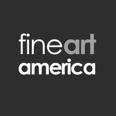 Fine Art America 🇺🇸 thumbnail