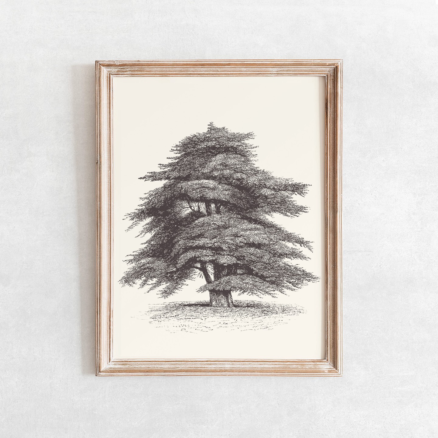 Cedar of Lebanon Tree Sketch Printable Wall Art - 🛒Shop from link in bio
.
.
.
#lebanon #printablewallart #etsyartprints