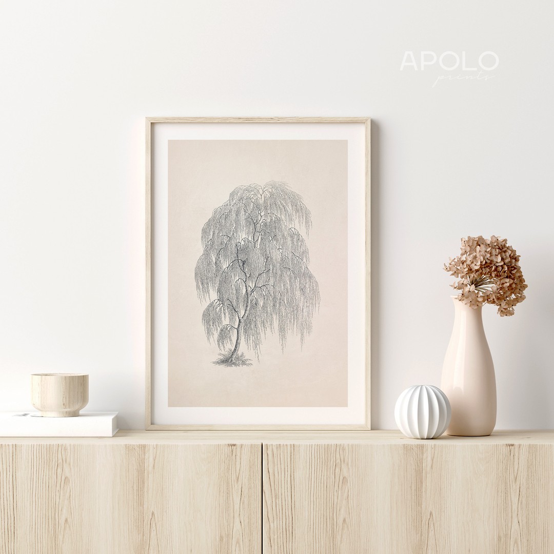 Willow Tree Sketch no. 22
🛒Shop from link in bio
.
.
.
#etsyprints #willowtrees #vintagestyle #artfullyhomes #treesketch