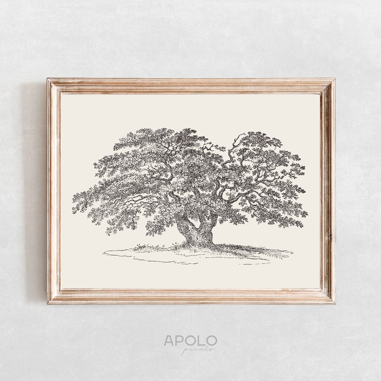 Oak Tree Drawing Printable Wall Art - 🛒Shop from link in bio
.
.
.
#oaktree #printablewallart #etsyartprints #etsyprinta