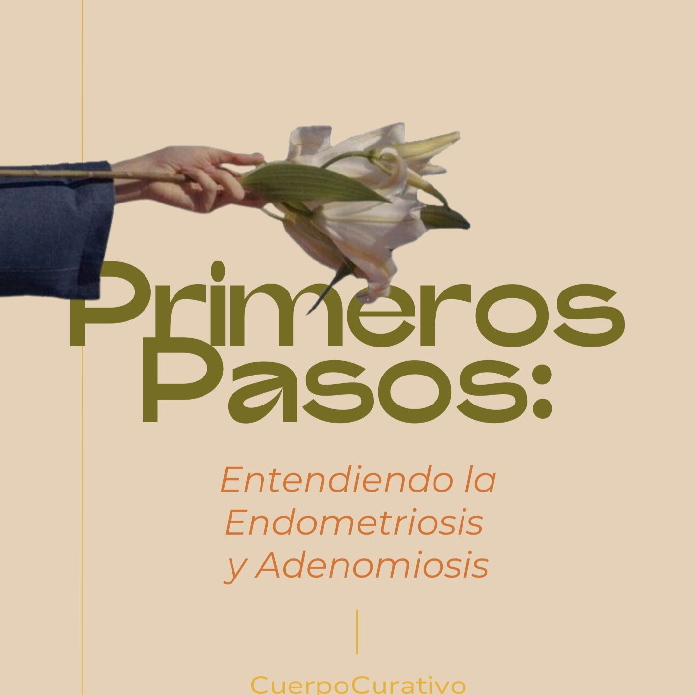 *GRATIS* Primeros Pasos - Entender la Endometriosis y Adenomiosis desde el Inicio thumbnail
