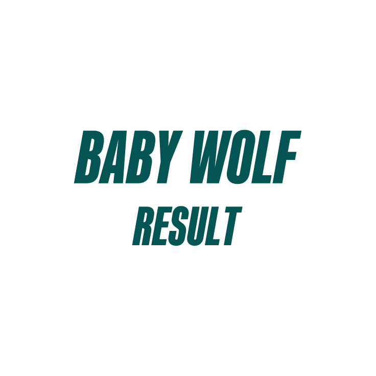 BABY WOLF RESULT thumbnail