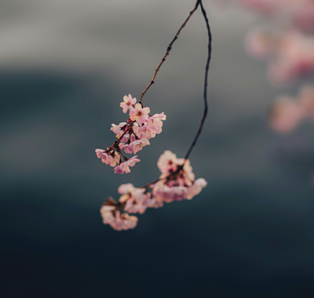 Fine Art | Instagram thumbnail