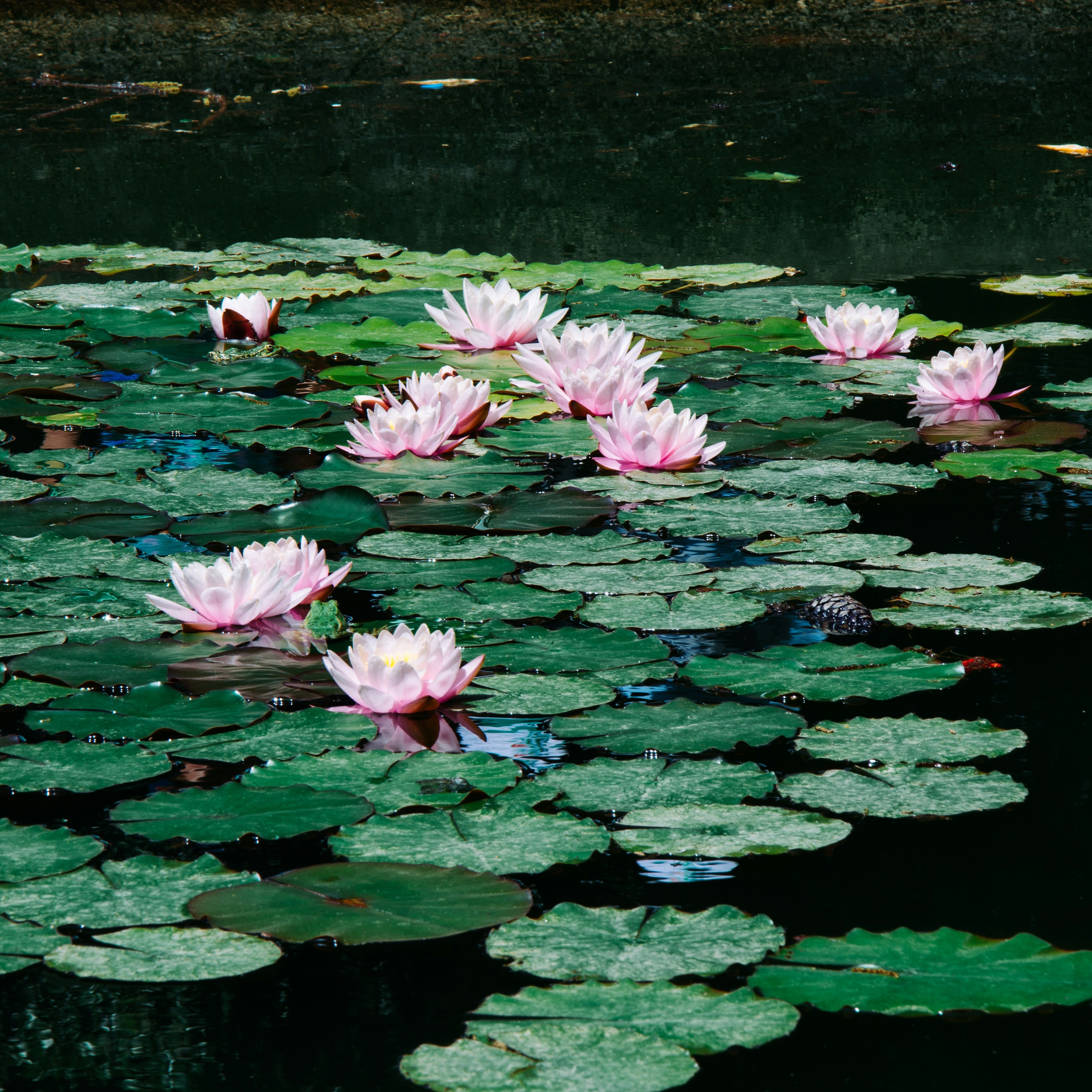 Join Ali for a workshop thumbnail