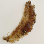 NATURALEZA | SKIN HAIR BODY thumbnail