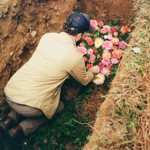 Bury Me at Taylor Hollow Trailer thumbnail
