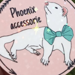 Phoenix Accessorie 10% desconto: KIRA10 thumbnail