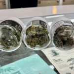 Recreational marijuana sales tax increase will be voted on next month thumbnail