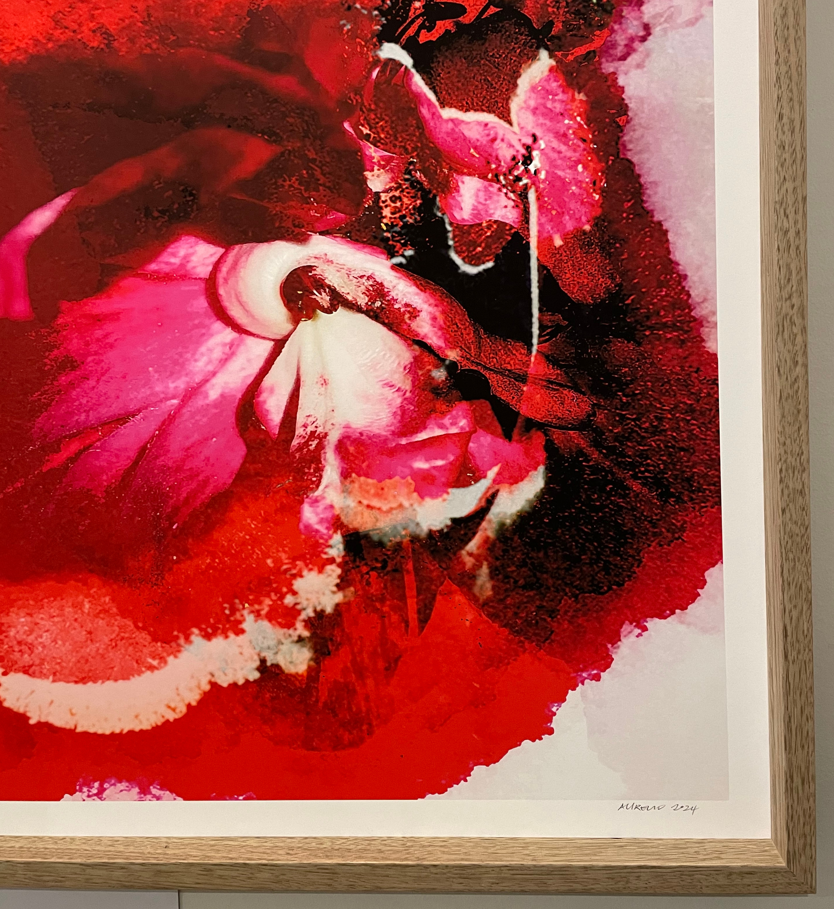 FINE ART WALL PRINTS  thumbnail