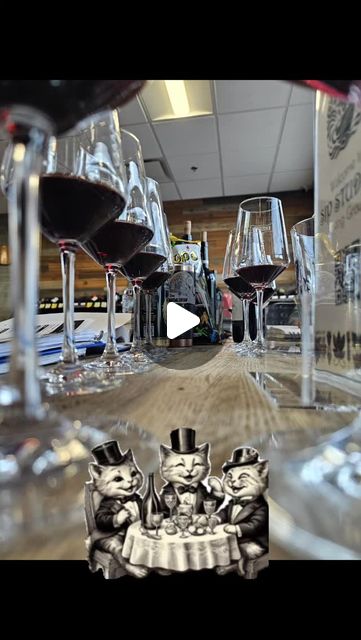 Sip Studies on Instagram: "Sunday Blind Tastings!!!
This week is Tuscany, from Super Tuscans and Chianti Classico, to sub zones and aged vintages!

Keep joining us for beverage adventures and experiences!!!

#sipstudies #flavorculture #blindtasting #italianwines #wineadventures" thumbnail