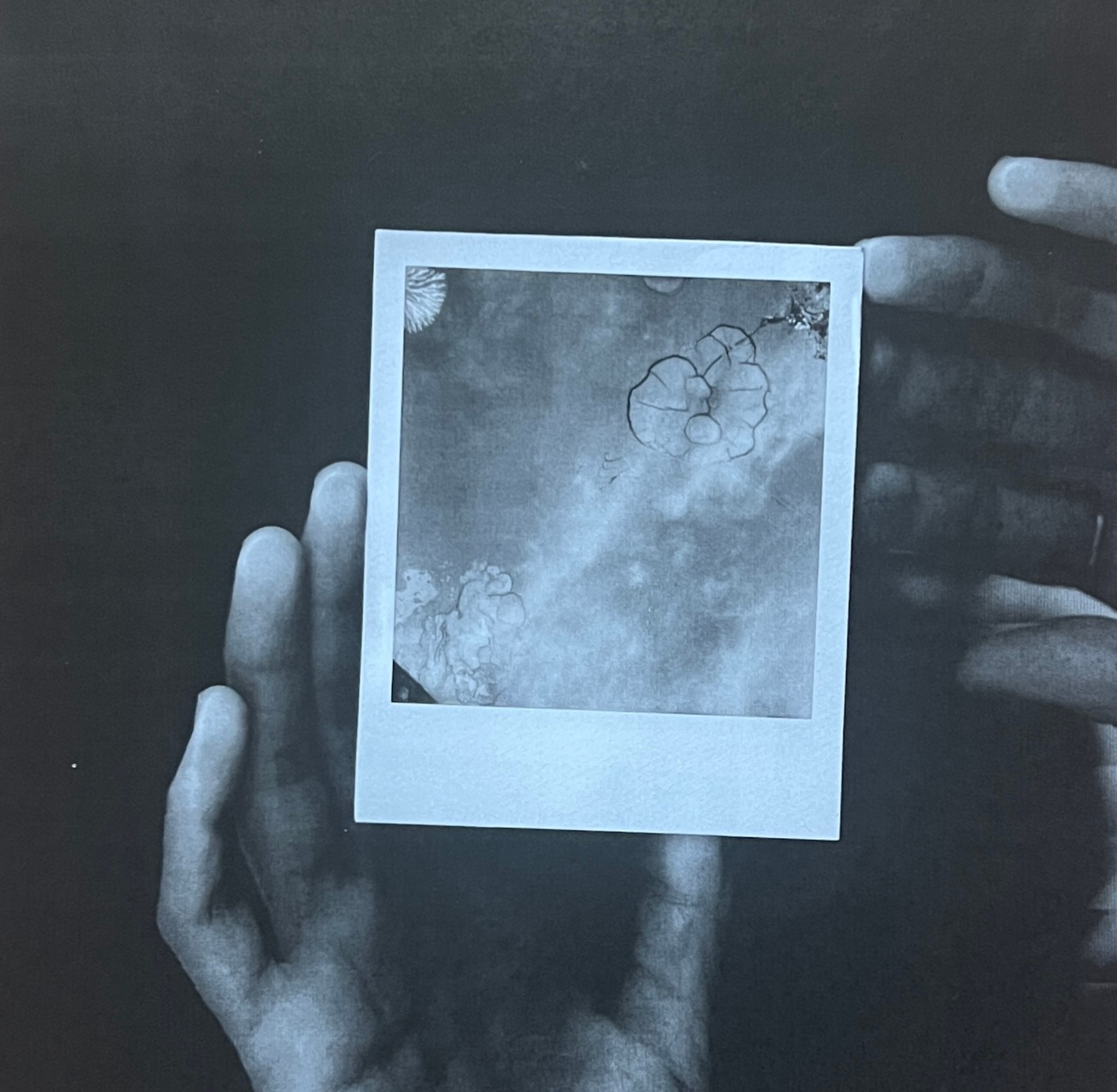 Selected Works by Michèle Saint-Michel thumbnail