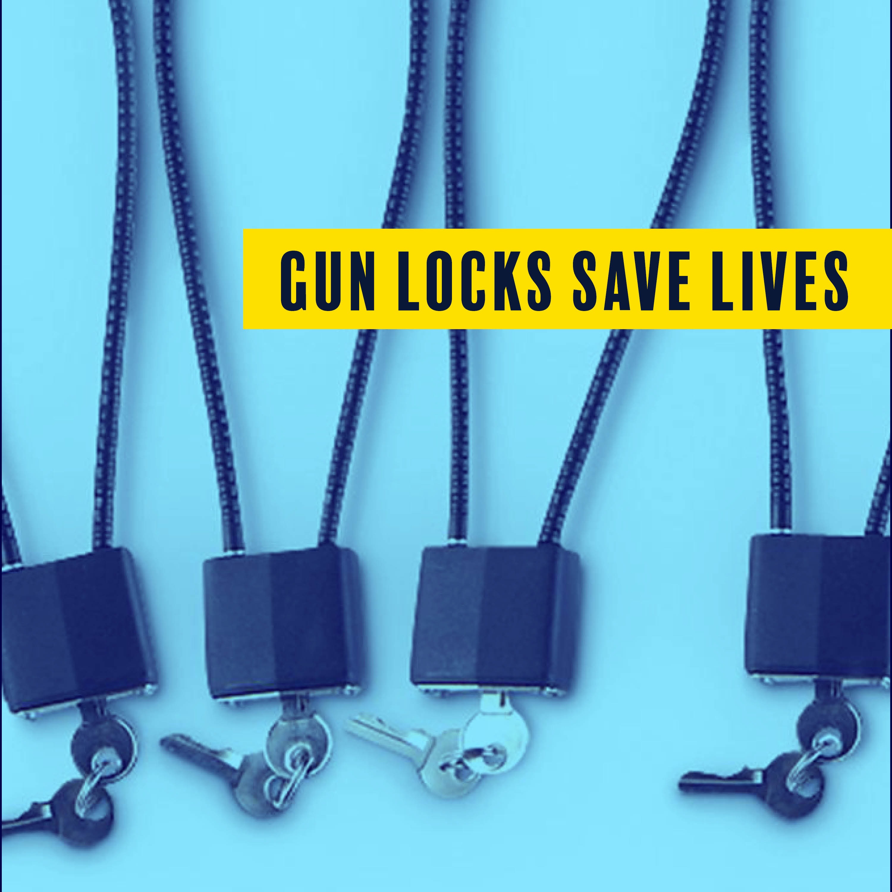 Request Free Cable Gun Locks thumbnail