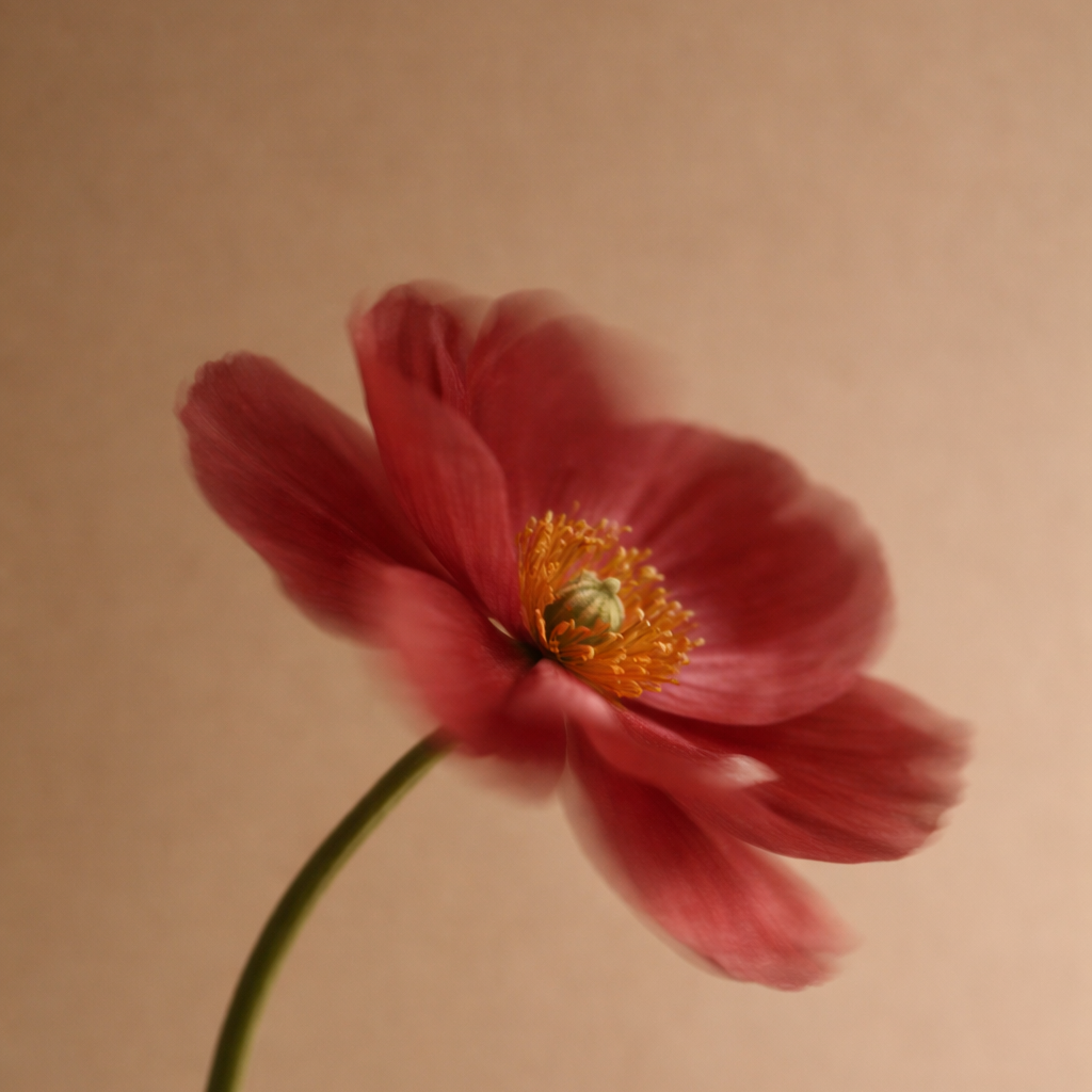 Free Undertone Worksheets thumbnail