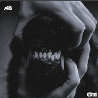 "KILLILLUMINATI" sur Spotify thumbnail