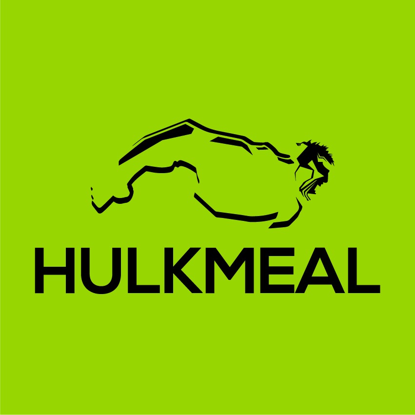 HULKMEAL | MMECANAM thumbnail