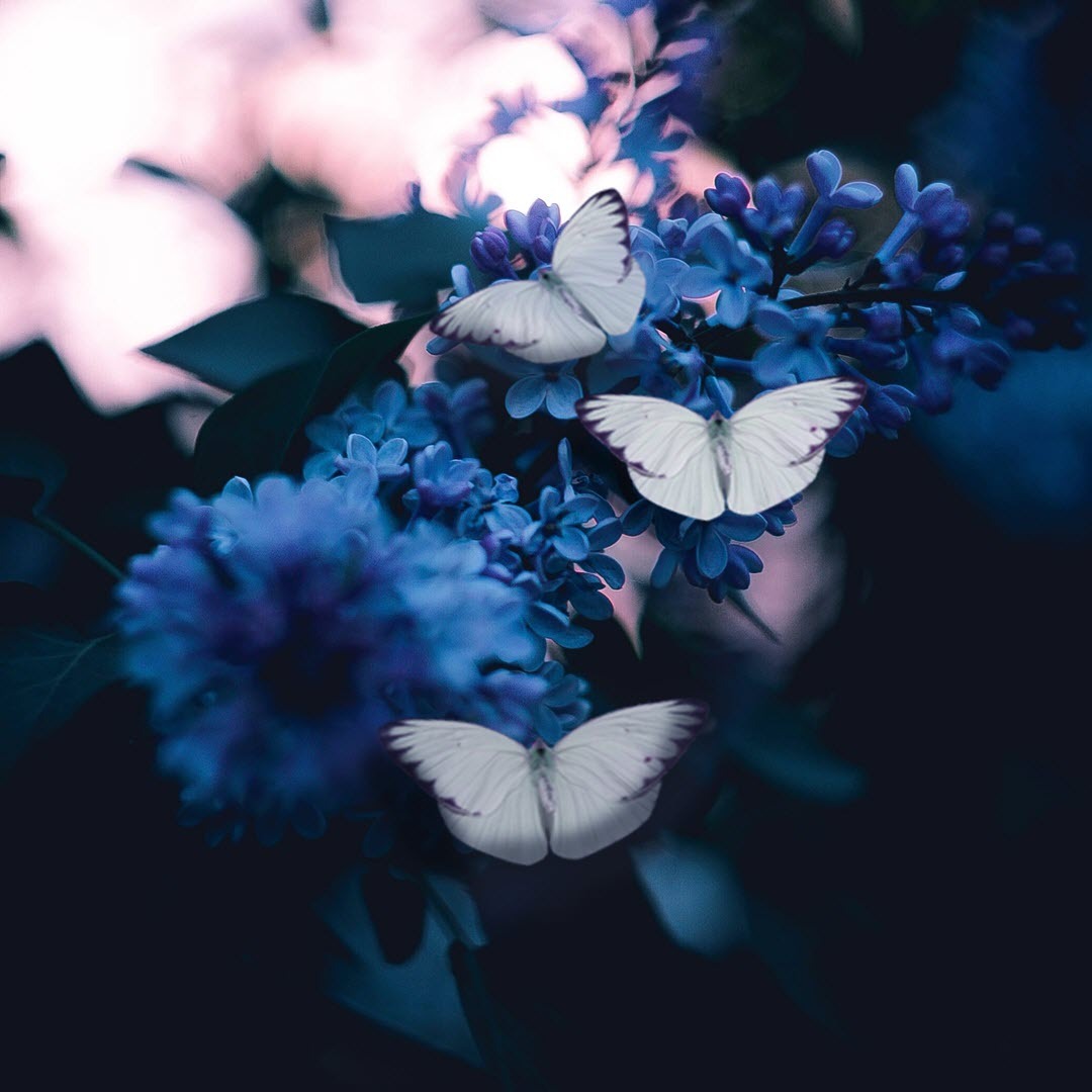 Choosing to be childfree thumbnail