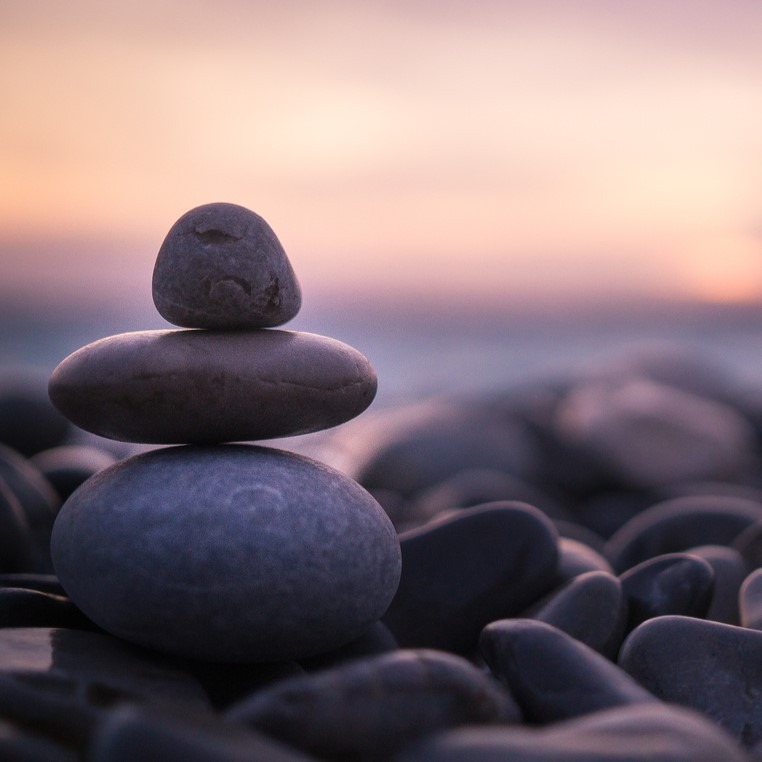 Meditations with River thumbnail