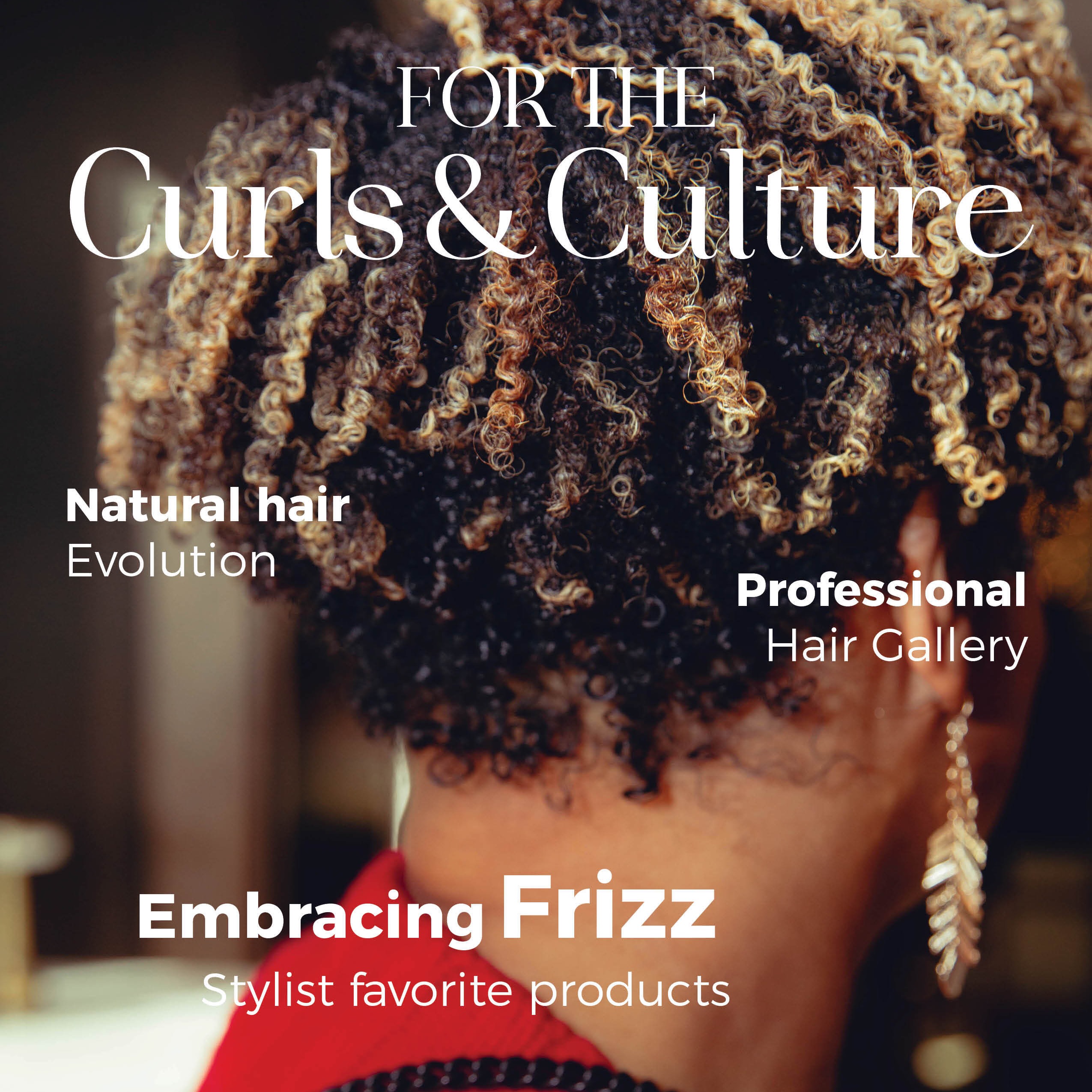 For the Curls & Culture Digital Digest  thumbnail